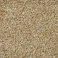 V5HEBE085DAFBADBCCF15D37C5BB3D27C73R7450073P4