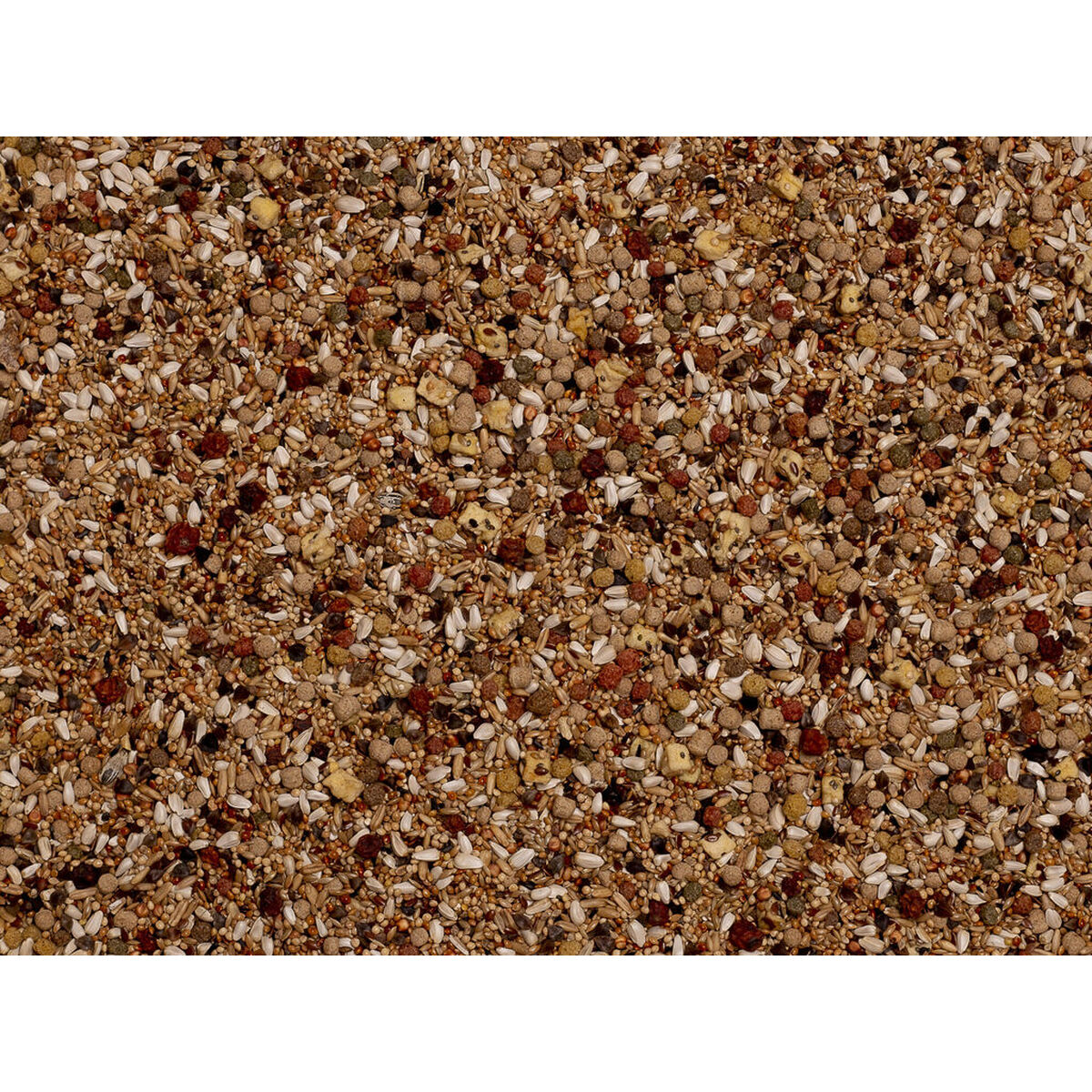 V6H1CC95846A2A6EDEC42D36761B91592C8R7450557P3