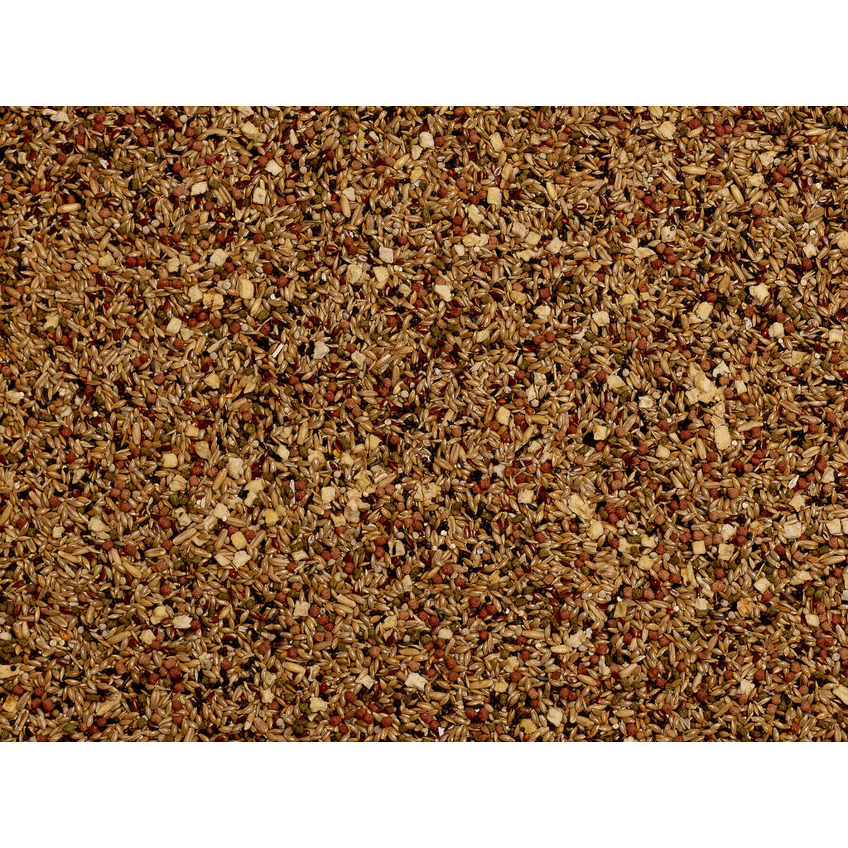 V6HA10EA8FB9322429D1B00677D003BDC28R7450526P3