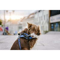 V3H67A50FFDD1436D7BB5701F75B5657F49R5592573P2