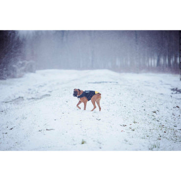 V5H4022C0BBEF08A5F2EFD3802D81FC5343R7445350P2