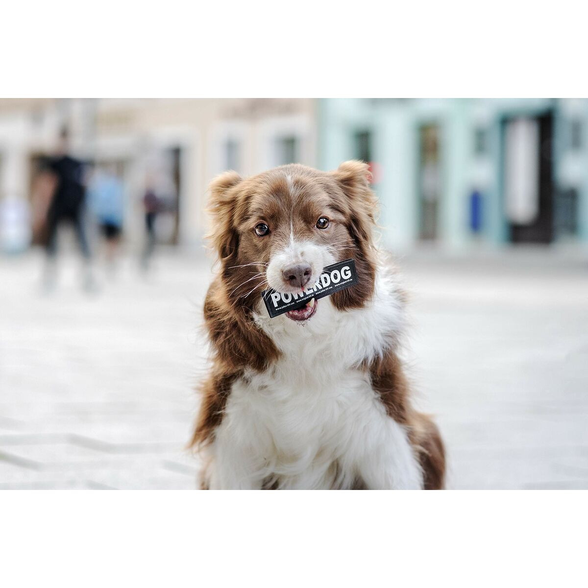 V4HB117AAC164D6D052694621E75E07ED1ER5333074P6