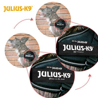 Arnês para Cães Julius K9 IDC Vaqueiro L 1