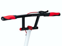 Wiggler step van ROLLZONE, wiggle & stunt step