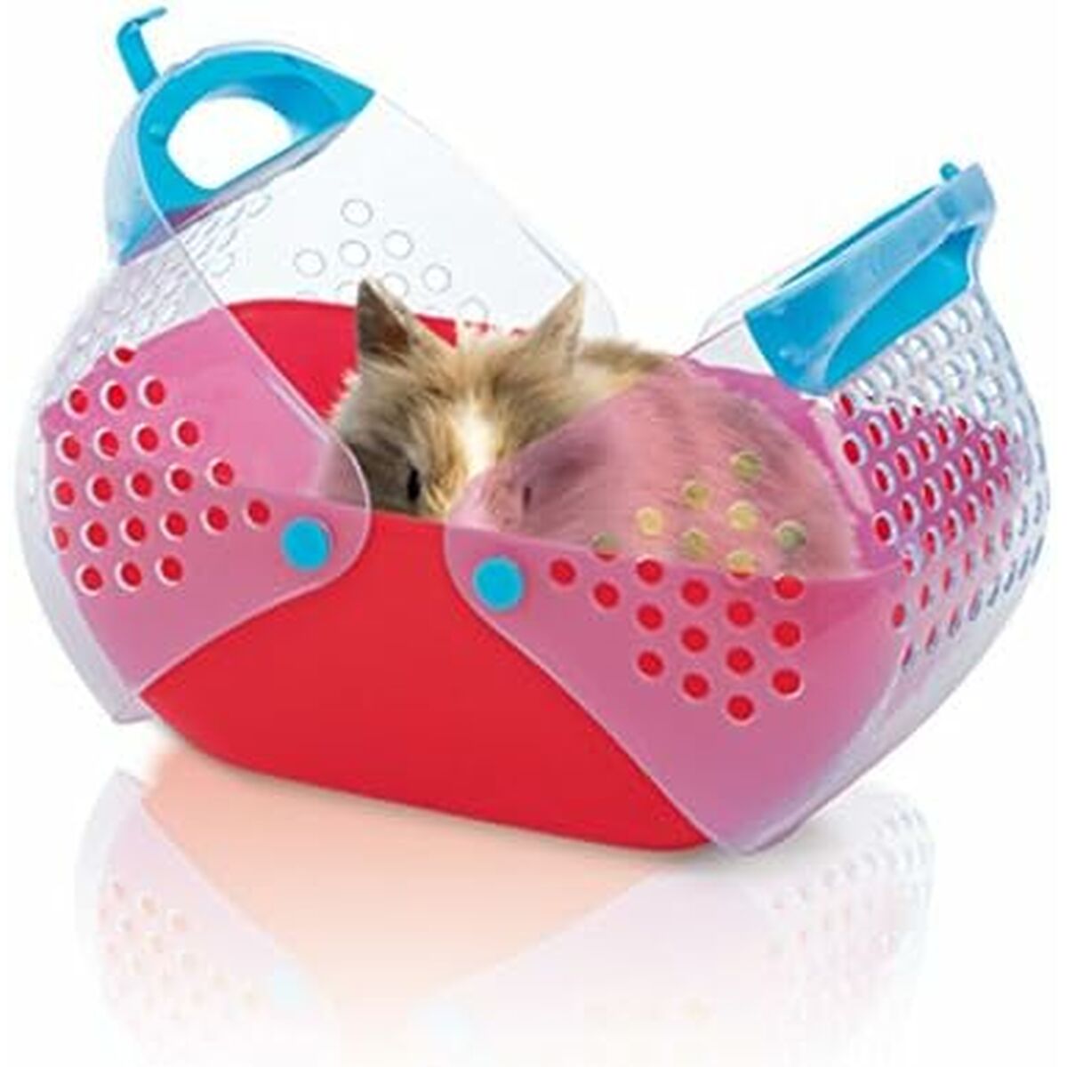 V6H395785280266A572E9921A8FF3FCEBD6R7450171P4