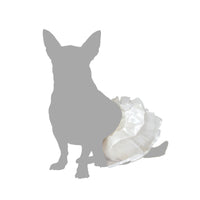 V5H04CAC6BD8739886D942A1AD9798593CBR5006708P3