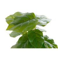 V8HC556B2A9EDD3EF648EC4F339DE4B7B54R1920611P2