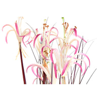 V9H57E88A820ED12C89EBA25DBB0944C4A1R4985915P3