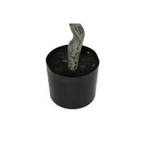 V7HC84726C3B8BBA6DE0C7E5F9D9EB099FAR3881956P4