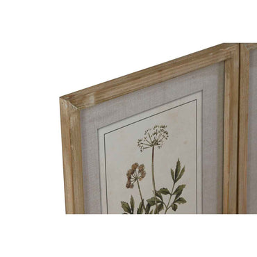 Pintura Home ESPRIT Shabby Chic Plantas botânicas 30 x 2 x 40 cm (6 Unidades)