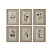 Pintura Home ESPRIT Shabby Chic Plantas botânicas 30 x 2 x 40 cm (6 Unidades)