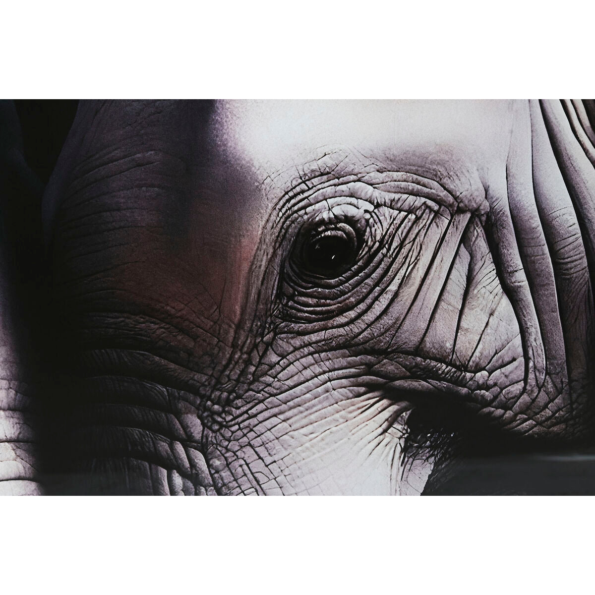 V6HD8455B5CD53F2D13102131529DB5AE99R6373147P3