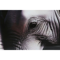 V6HD8455B5CD53F2D13102131529DB5AE99R6373147P3