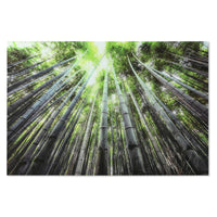 V6HE3A1B56DB1336861D394C81D714474F7R6373237P1