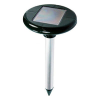 V8HD9F3C3545446E9F7A50DE98AB3ECFC86R3444248P1