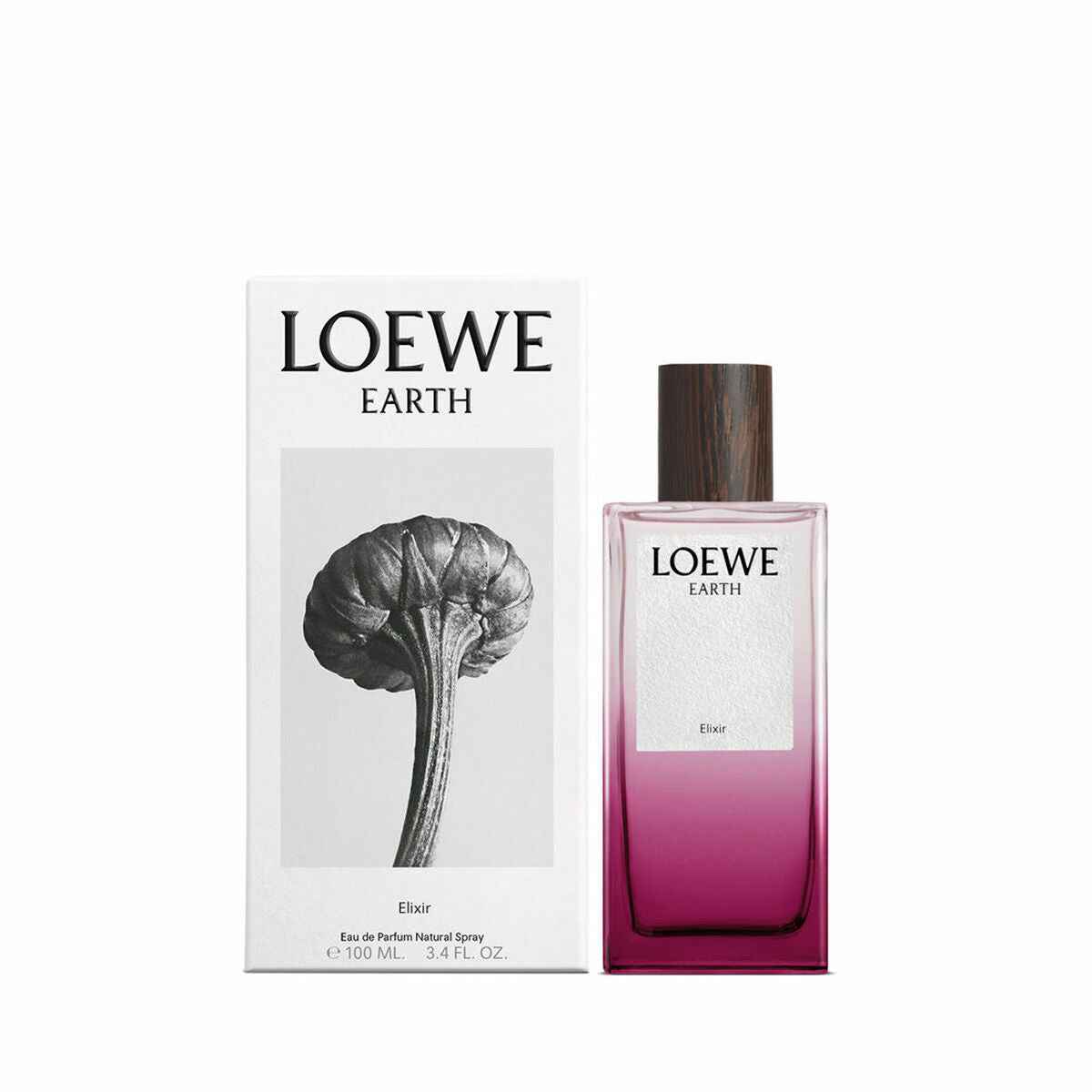 Perfume Mulher Loewe EARTH 100 ml