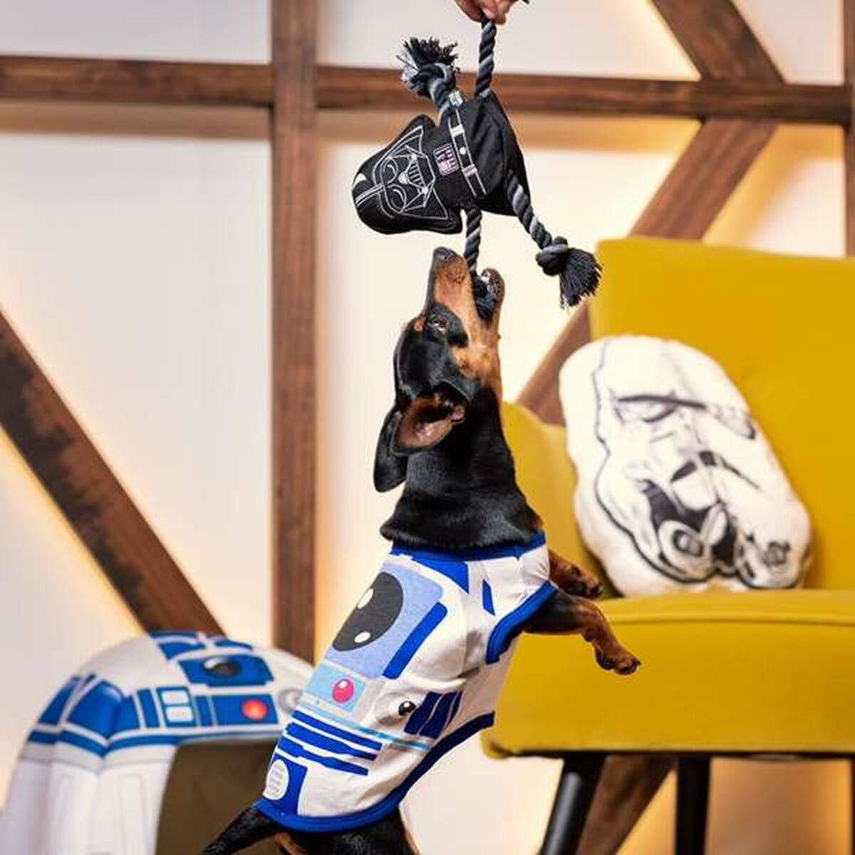 V5HFE134AB006A151CADE40262BB13FD13BR4655450P3