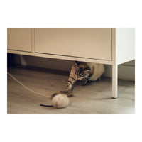 V11H116D63D9AB48F09DCFB032DED6C63E44R5597786P6