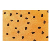 V9H6D52C6B6586E871BEE6911690857B7F9R5527645P8