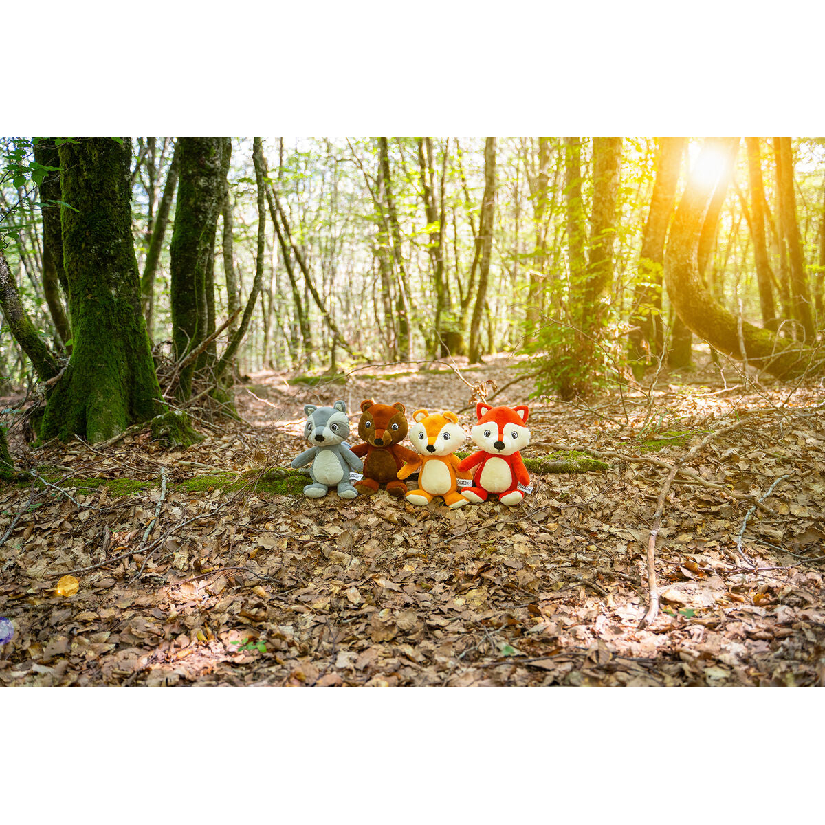 V8HEE91B76534424AB20B57E16BCB06A3E4R3710447P3