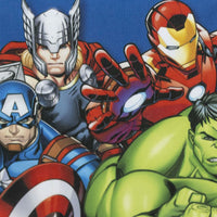 V4H3DD7E593F1C34E49490DAC9BCB06B702R6893224P4