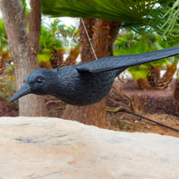 V9HD2FE5A8A3ED92ECF2436D87AA7EE14A9R5158716P4