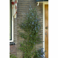 V8HD6C4949E70F7D948D0341FB5B249BF18R7321275P3