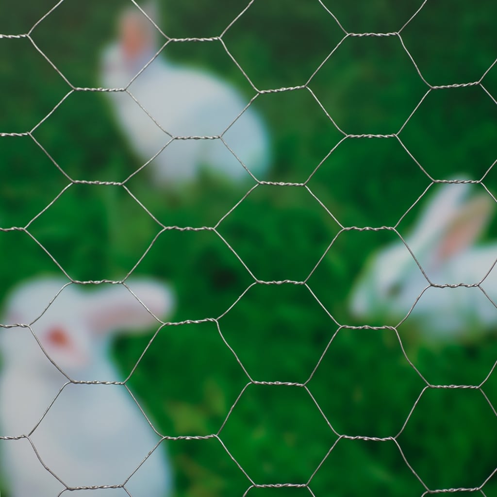 Nature Rede de arame hexagonal 0,5x10 m 25 mm aço galvanizado