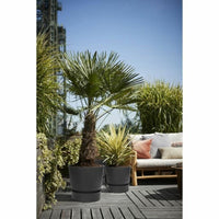 V6H776103ED6CDB94FD37BDED19CD5993FDR4007564P6