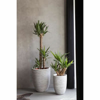 V4HD6CD20C36C9134A9CD46D84A2859638FR4917128P2