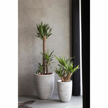 V4HD6CD20C36C9134A9CD46D84A2859638FR4917128P2