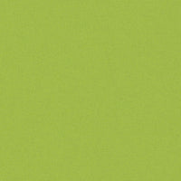 Almofadas para exterior 2 pcs 60x40 cm  maçã