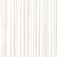 Cortinas de fios 2 pcs 100x250 cm