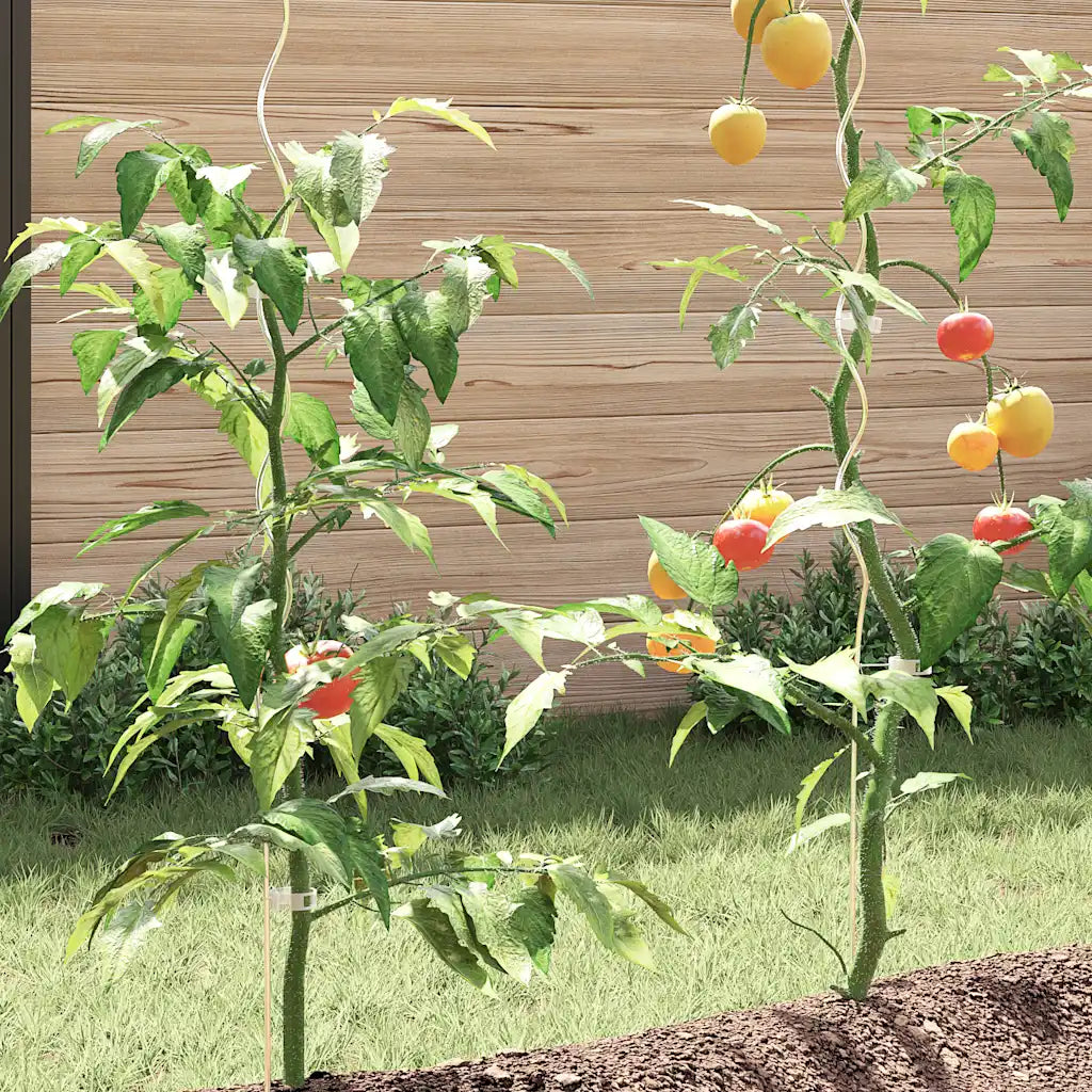Suportes para plantas em espiral 50 pcs  aço galvanizado