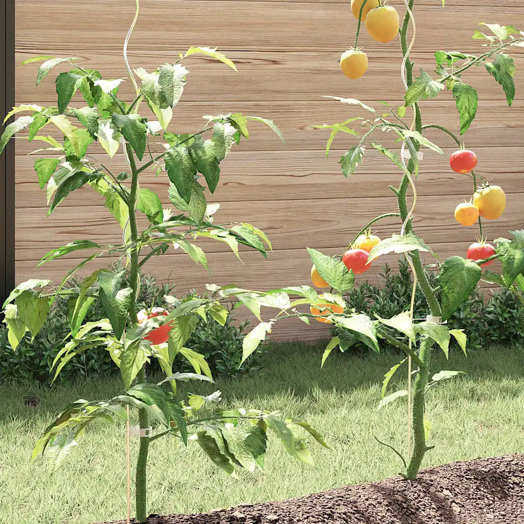 Suportes para plantas em espiral 5 pcs  aço galvanizado