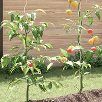 Suportes para plantas em espiral 5 pcs  aço galvanizado