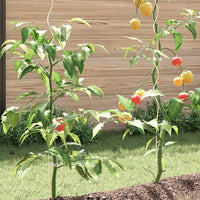Suportes para plantas em espiral 5 pcs  aço galvanizado