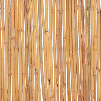 Cerca de bambu 500x30 cm