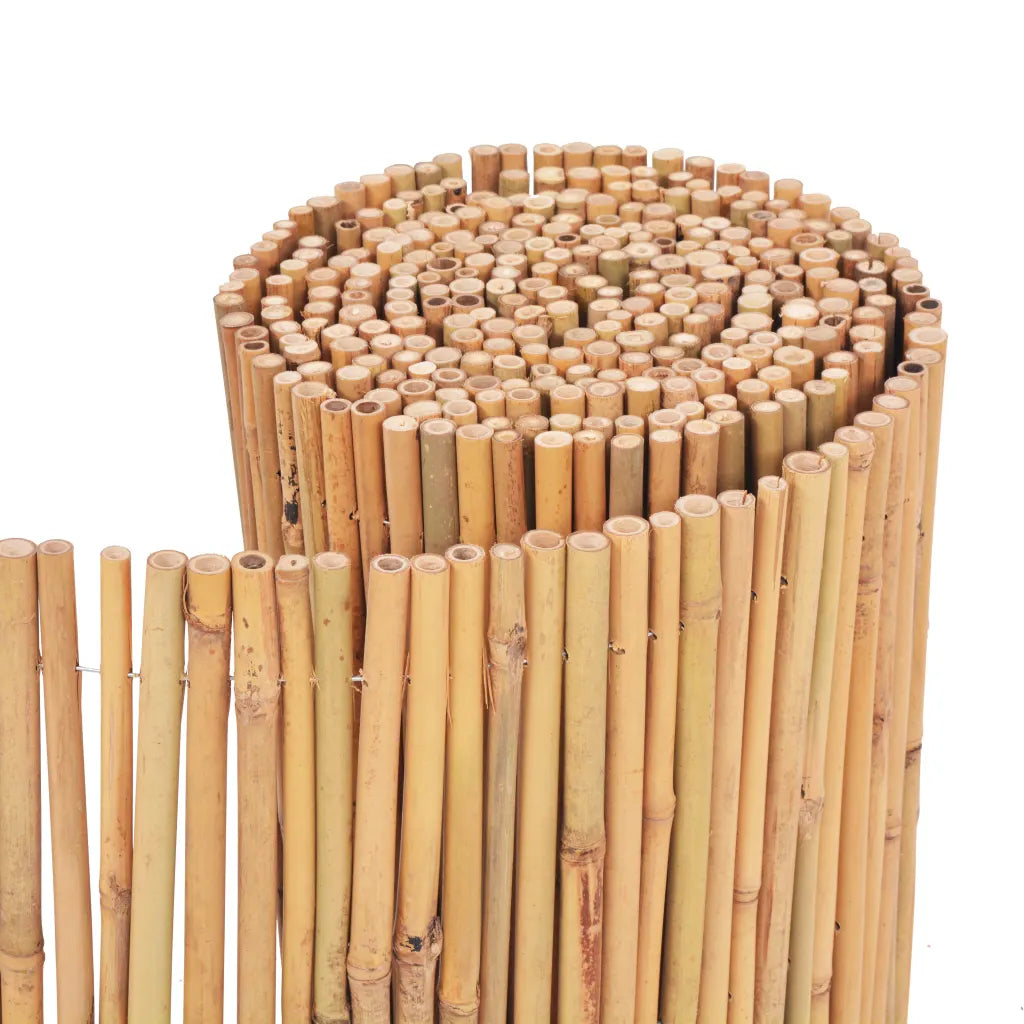 Cerca de bambu 500x50 cm