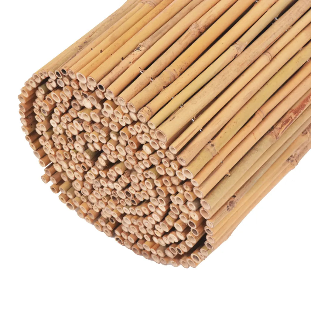 Cerca de bambu 500x50 cm