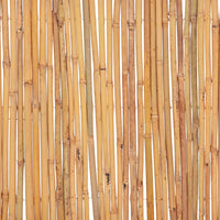 Cerca de bambu 500x50 cm