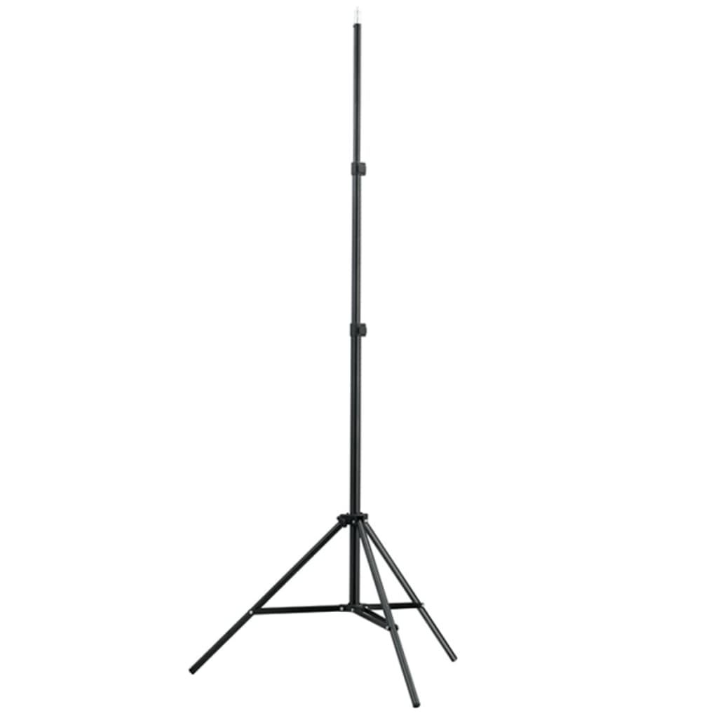 vidaXL Kit de estúdio com fundo preto 600x300 cm e luzes