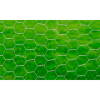 Rede de arame p/ galinheiro 25x0,5 m aço galvanizado