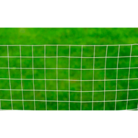 Cerca de arame p/ galinheiro 10x1 m aço galvanizado