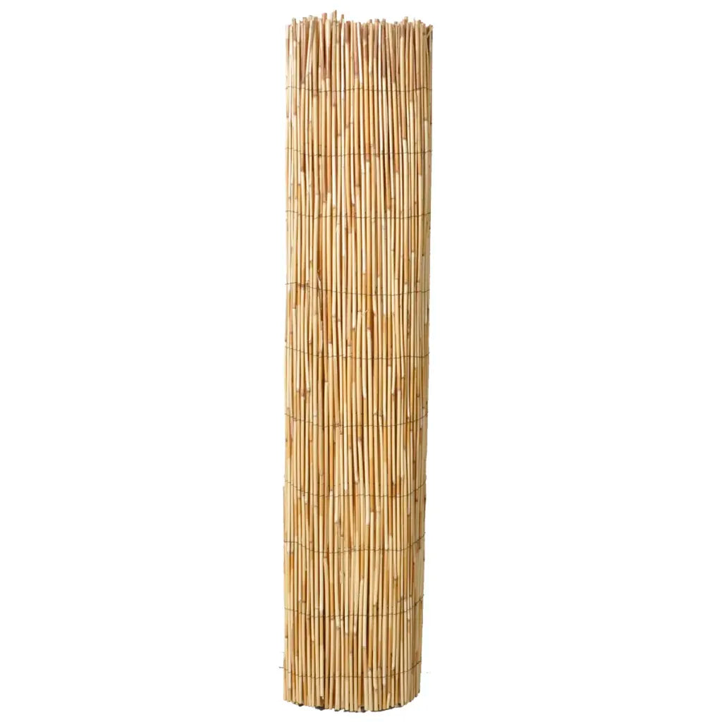 Cerca de caniço para jardim 500x100 cm