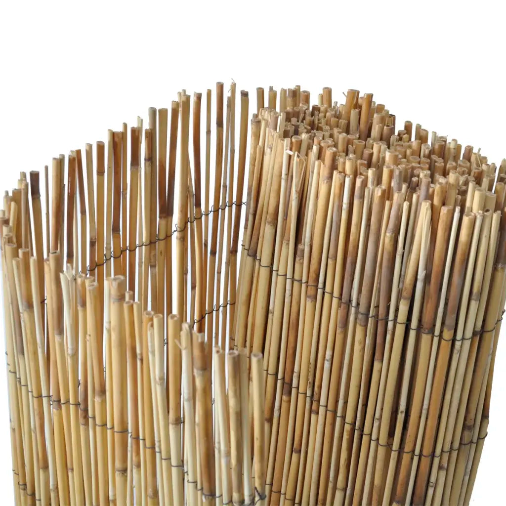 Cerca de caniço para jardim 500x100 cm