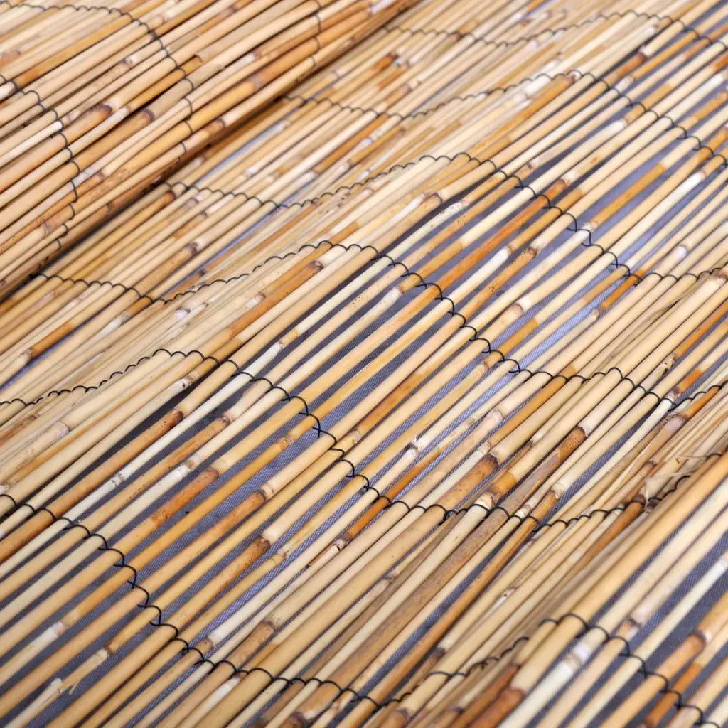 Cerca de caniço para jardim 500x100 cm