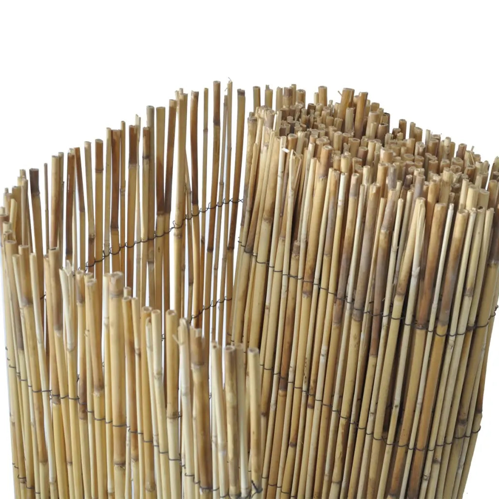 Cerca de caniço para jardim 100x1000 cm