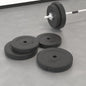 vidaXL Discos de musculação 4 pcs 30 kg cimento