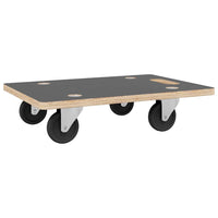 vidaXL Carrinhos de transporte 2 pcs retangular 50x35x11,5 cm 250 kg